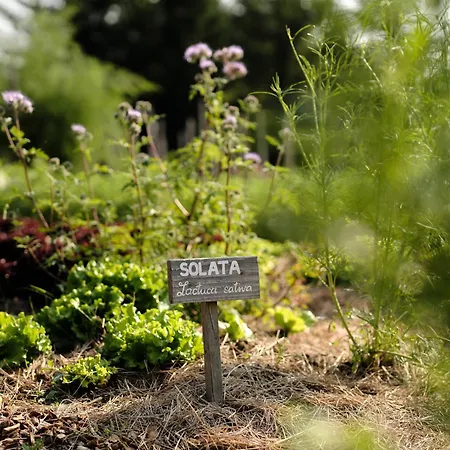 Sport - Terme Krka 4* Otocec