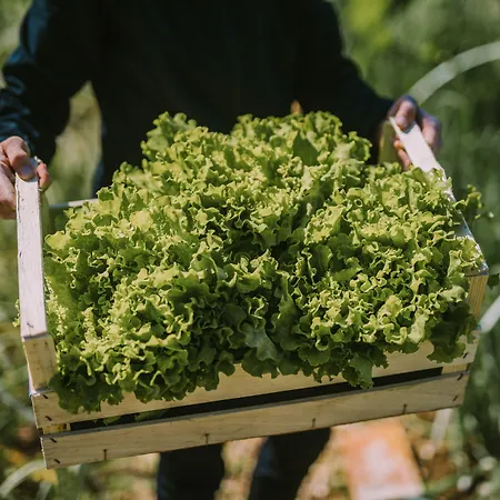 Hotel Sport - Terme Krka