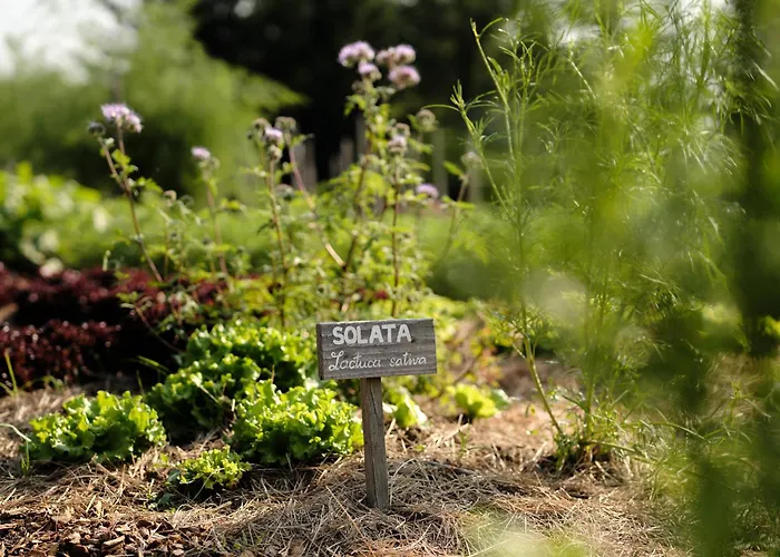Sport - Terme Krka 4* Otočec