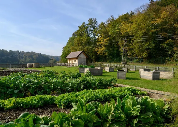 Sport - Terme Krka Hotel 4*