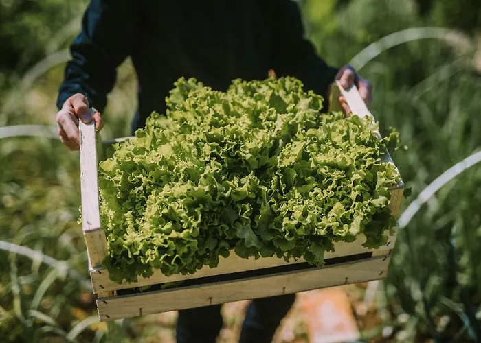 Hotel Sport - Terme Krka